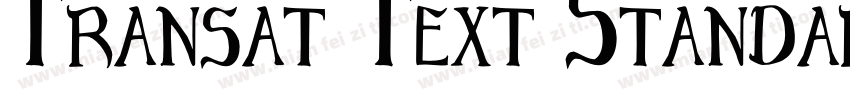 Transat Text Standard Regular字体转换